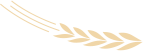 1724919340679041.png 微信图片_20240829161332_1.png